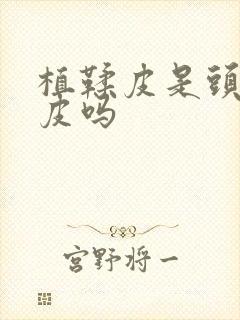 植鞣皮是头层牛皮吗封面