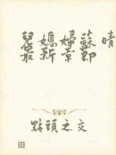 儿媳妇苏晴小说最新章节