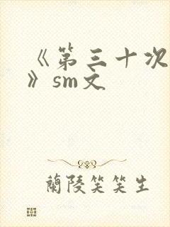 《第三十次调教》sm文封面