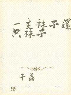 一支袜子还是一只袜子