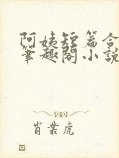 阿姨短篇合集_笔趣阁小说封面