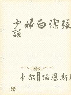 少妇白洁张倩小说封面