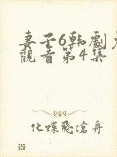 妻子6韩剧免费观看第4集封面