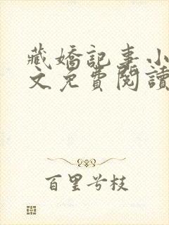 藏娇记事小说全文免费阅读