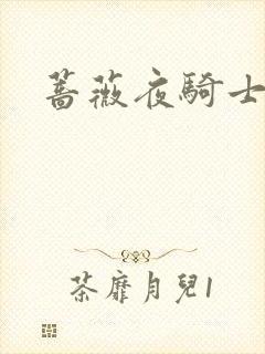 蔷薇夜骑士