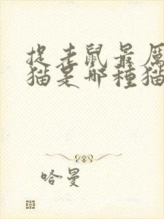 捉老鼠最厉害的猫是哪种猫