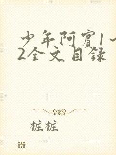 少年阿宾1～72全文目录