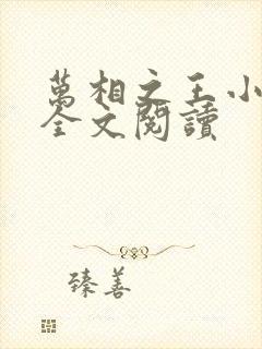 万相之王小说 全文阅读