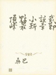 顶点小说武炼巅峰最新章节