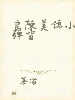 良陈美锦小说无弹窗