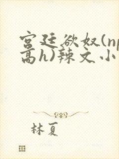 宫廷欲奴(np高h)辣文小说封面