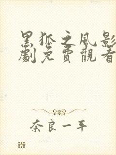 黑狐之风影电视剧免费观看全集