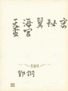 天海翼秘密女搜查官