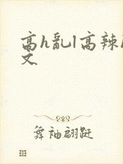 高h乱l高辣h文