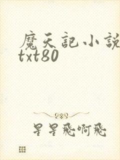 魔天记小说下载txt80