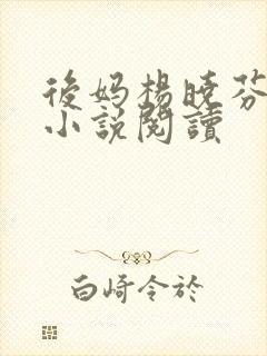 后妈杨晓芬王磊小说阅读