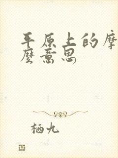 平原上的摩西什么意思封面