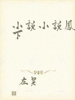 小说小说凤临天下封面
