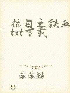 抗日之铁血兵王txt下载封面