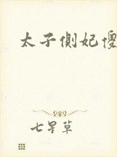 太子侧妃傻乎乎