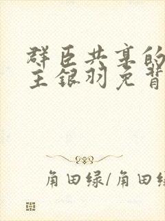 群臣共享的小公主银羽免背刺