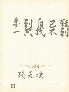 梦到自己鞋丢了一只找不到了