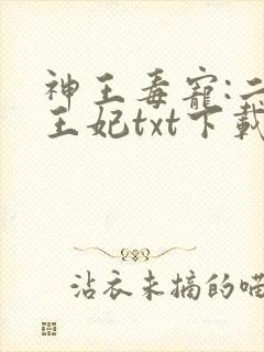 神王毒宠:二嫁王妃txt下载封面