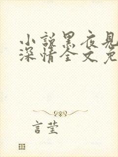小说黑夜见过他深情全文免费阅读封面
