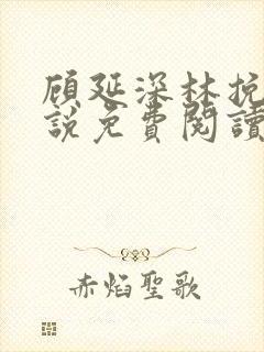 顾延深林挽音小说免费阅读最新章节