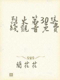 烈火第30集在线观看免费播放