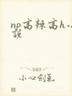 np高辣高h小说