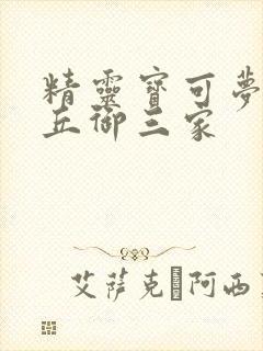 精灵宝可梦皮卡丘御三家封面