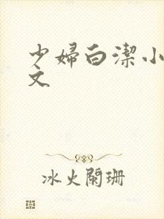 少妇白洁小说全文