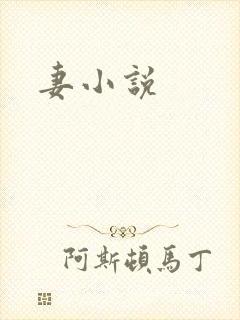 妻小说