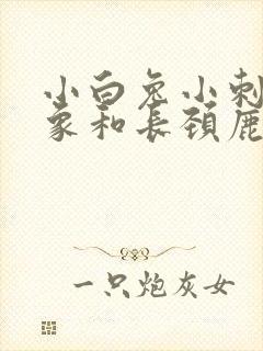 小白兔小刺猬大象和长颈鹿的故事