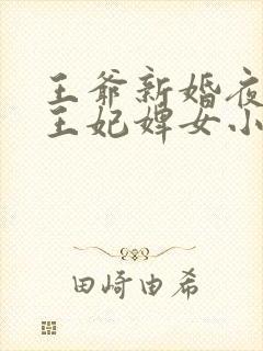 王爷新婚夜宠幸王妃婢女小说