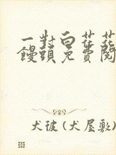 一对白花花的大馒头免费阅读封面