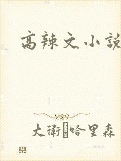 高辣文小说