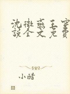 沈微燕王穿越小说全文免费阅读