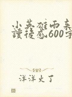 小英雄雨来优秀读后感600字封面