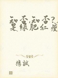 知否,知否?应是绿肥红瘦原著小说