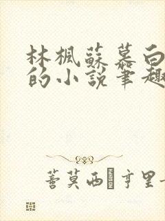 林枫苏慕白穿越的小说笔趣阁