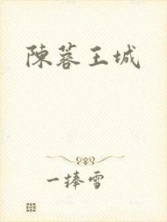 陈蓉王城封面