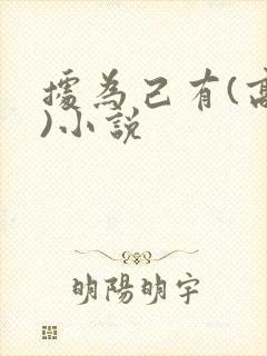 据为己有(高干)小说