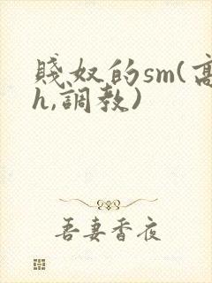 贱奴的sm(高h,调教)封面