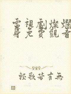 电视剧灿烂的转身免费观看高清