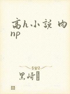 高h小说 肉 np