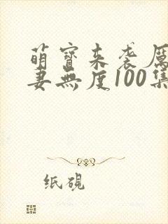 萌宝来袭厉总宠妻无度100集