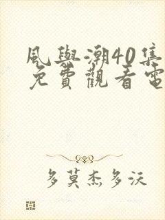 风与潮40集全免费观看电视剧