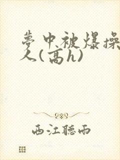 梦中被爆操的美人(高h)封面